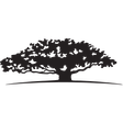 WISDOMTREE YIELD ENHANCED U.S. AGGREGATE BOND FUND logo