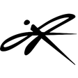 REVELYST INC logo
