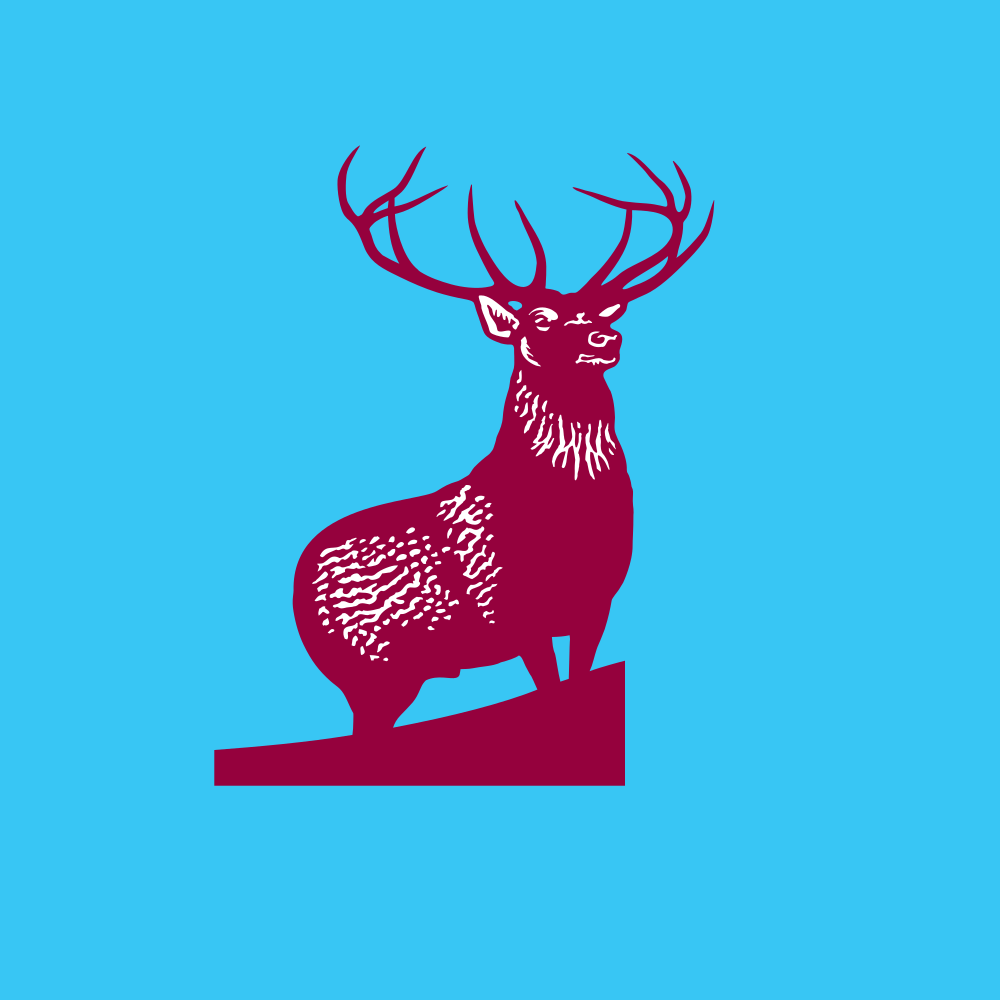 HARTFORD INSURANCE GROUP, INC.