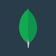 MongoDB, Inc.