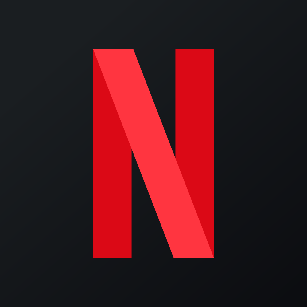NETFLIX INC