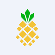 SUNation Energy, Inc. logo
